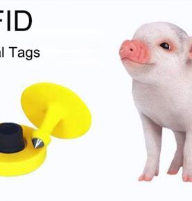 UHF RFID аҳәақәа рхаҭаратә бӷьыц рҭарҵоит, насгьы урҭ рыхшара инаркны ршьра аҟынӡа рыԥсҭазаара ашьҭаҵара