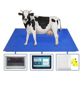RFID ақьабз алымҳа атег аидырра ахьанҭаратә система аелектронтә ԥстәы ашәагаа RFID аԥстәы алымҳа атег аидырра ашьаҟа ашәагаа ҟәышла анырратә екран аманы