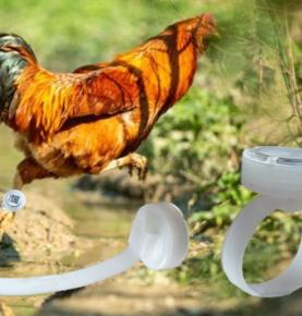 RFID аныҟәара акәтаӷь ашьаҿа аԥхьаӡара ашьапы, RFID аныҟәара аԥсыӡ ашьаҿа аԥхьаӡара ашьапы, RFID аҳәыҳә ашьаҿа аԥхьаӡара ашьапы, 2.4G RFID ашьаҿа аԥхьаӡара ашьапы
