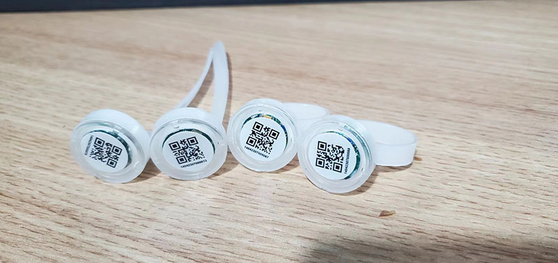 RFID running chicken step counting anklet, RFID walking chicken step counting anklet, RFID pigeon step counting anklet, 2.4G RFID step counting anklet 3